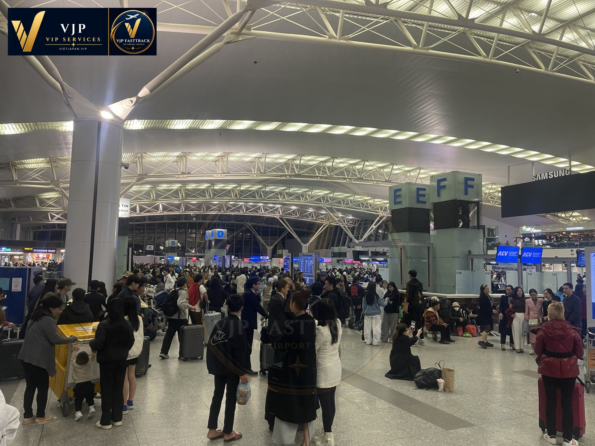 Arrival Fasttrack airport guidance and luggage support at Tan Son Nhat Airport